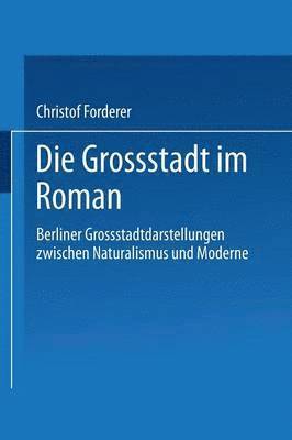 bokomslag Die Großstadt im Roman