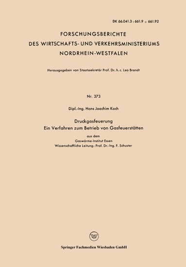 Hans Joachim Koch - Druckgasfeuerung Ein Verfahren zum Betrieb von Gasfeuerstätten, Häftad