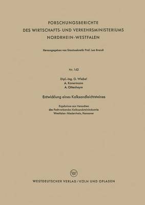 bokomslag Entwicklung eines Kalksandleichtsteines