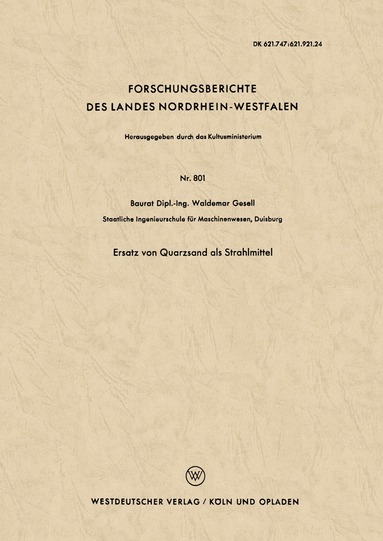 Waldemar Gesell - Ersatz von Quarzsand als Strahlmittel, Häftad