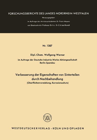 Wolfgang Werner - Verbesserung der Eigenschaften von Sinterteilen durch Nachbehandlung, Häftad
