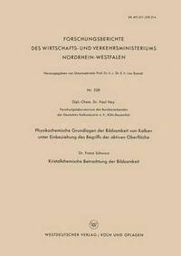 bokomslag Physikochemische Grundlagen der Bildsamkeit von Kalken unter Einbeziehung des Begriffs der aktiven Oberfläche