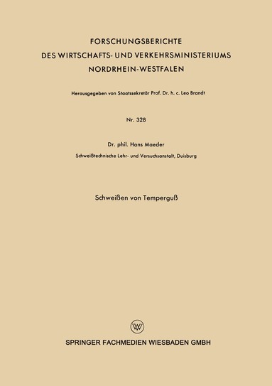 bokomslag Schweißen von Temperguß