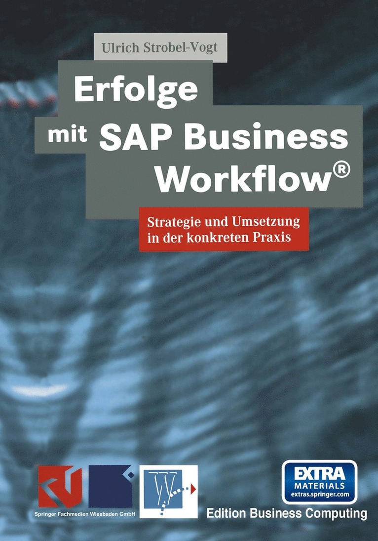 Ulrich Strobel-Vogt, Paul Wenzel - Erfolge mit SAP Business Workflow®, Häftad