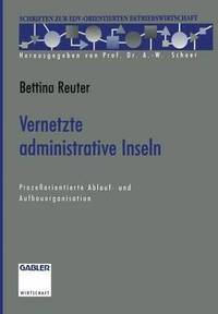 bokomslag Vernetzte administrative Inseln