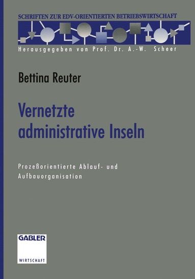 bokomslag Vernetzte administrative Inseln