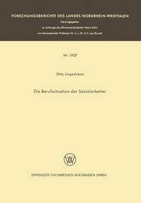 bokomslag Die Berufssituation Der Sozialarbeiter