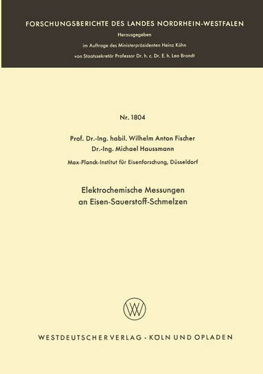 Wilhelm Anton Fischer - Elektrochemische Messungen an Eisen-Sauerstoff-Schmelzen, Häftad