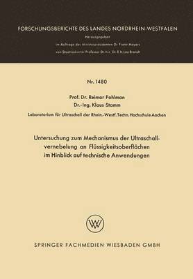 Untersuchung zum Mechanismus der Ultraschallvernebelung an Flüssigkeitsoberflächen im Hinblick auf technische Anwendungen