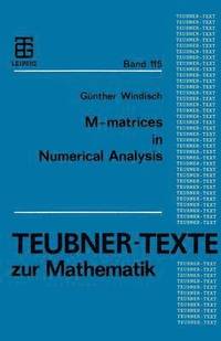 bokomslag M-matrices in Numerical Analysis