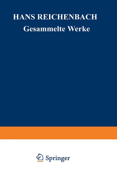 Andreas Kamlah, Maria Reichenbach - Philosophische Grundlagen der Quantenmechanik und Wahrscheinlichkeit, Häftad