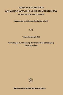 bokomslag Grundlagen Zur Erfassung Der Chemischen Schädigung Beim Waschen