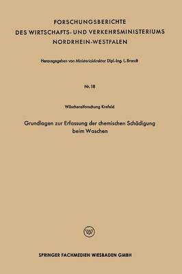 bokomslag Grundlagen zur Erfassung der chemischen Schadigung beim Waschen