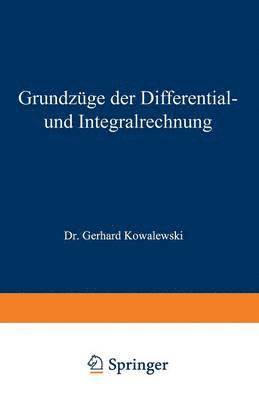 bokomslag Grundzüge der Differential- und Integralrechnung