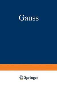 bokomslag Gauss