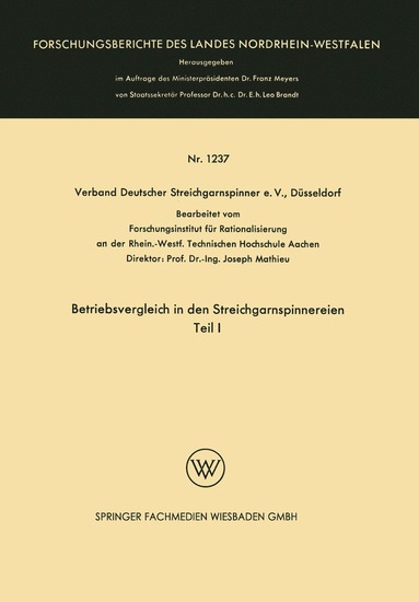 bokomslag Betriebsvergleich in den Streichgarnspinnereien
