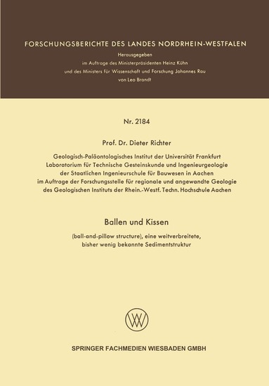 Dieter Richter - Ballen und Kissen, Häftad