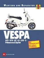 bokomslag Vespa GTS, GTV, GT, LX, LXV, S, Primavera & Sprint