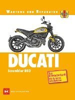 bokomslag Ducati Scrambler 803
