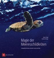 Sandra Striegel - Magie der Meeresschildkröten, Inbunden
