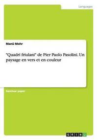 bokomslag Quadri friulani de Pier Paolo Pasolini. Un paysage en vers et en couleur