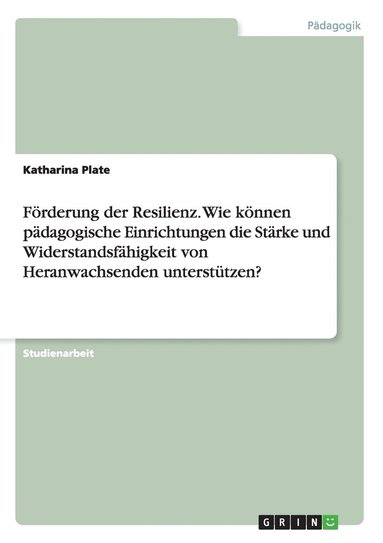 bokomslag Foerderung der Resilienz. Wie koennen padagogische Einrichtungen die Starke und Widerstandsfahigkeit von Heranwachsenden unterstutzen?