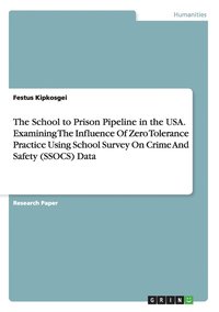 bokomslag The School to Prison Pipeline in the USA. Examining The Influence Of Zero Tolerance Practice Using School Survey On Crime And Safety (SSOCS) Data