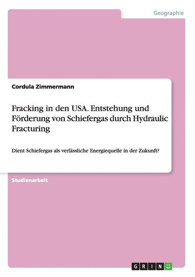 bokomslag Fracking in den USA. Entstehung und Foerderung von Schiefergas durch Hydraulic Fracturing