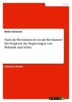 Meike Hammann - Nach der Revolution ist vor der Revolution? Ein Vergleich der Regierungen von Mubarak und Al-Sisi, Häftad