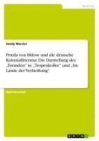 bokomslag Frieda Von Bulow Und Die Deutsche Kolonialliteratur. Die Darstellung Des -Fremden in -Tropenkoller Und -Im Lande Der Verheiung