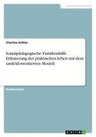 bokomslag Sozialpadagogische Familienhilfe. Erlauterung Der Praktischen Arbeit Mit Dem Umfeldorientierten Modell