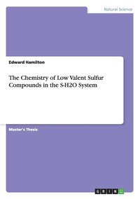 bokomslag The Chemistry of Low Valent Sulfur Compounds in the S-H2O System