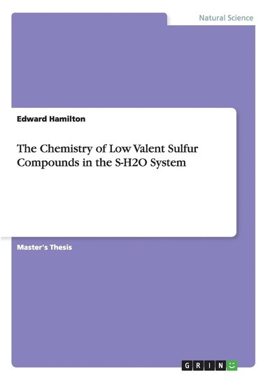 Edward Hamilton - Chemistry of Low Valent Sulfur Compounds in the S-H2O System, Häftad