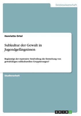 bokomslag Subkultur der Gewalt in Jugendgefängnissen