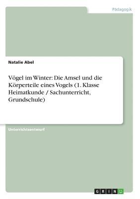 Vogel Im Winter 1