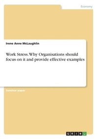 bokomslag Work Stress. Why Organisations should focus on it and provide effective examples