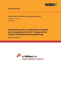 bokomslag Entwicklung einer kombinierten Salzpille zur Erzeugung sehr tiefer Temperaturen mittels Entmagnetisierungskühlung