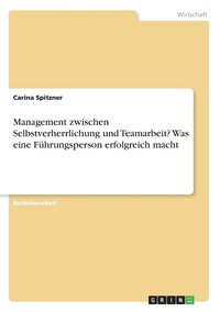 bokomslag Management zwischen Selbstverherrlichung und Teamarbeit? Was eine Fuhrungsperson erfolgreich macht