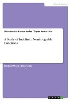 bokomslag A Study of Indefinite Nonintegrable Functions