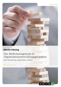 bokomslag Risikomanagement in Organisationsentwicklungsprojekten