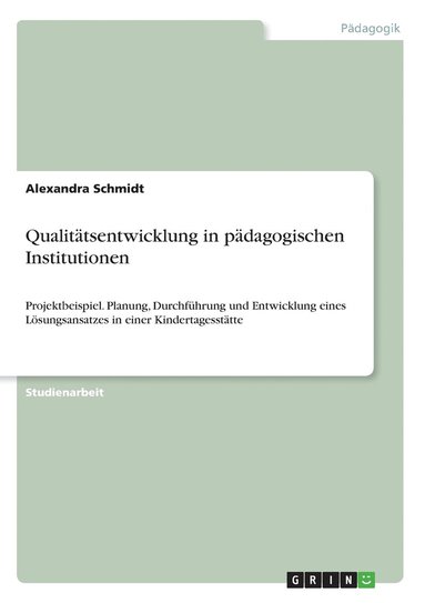 bokomslag Qualittsentwicklung in pdagogischen Institutionen