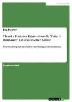 Eva Fischer - Theodor Fontanes Kriminalnovelle "Unterm Birnbaum". Ein realistischer Krimi?, Häftad