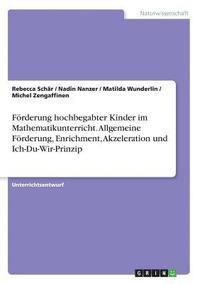 bokomslag Förderung hochbegabter Kinder im Mathematikunterricht. Allgemeine Förderung, Enrichment, Akzeleration und Ich-Du-Wir-Prinzip