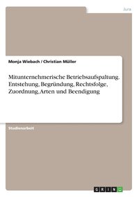 bokomslag Mitunternehmerische Betriebsaufspaltung. Entstehung, Begrndung, Rechtsfolge, Zuordnung, Arten und Beendigung