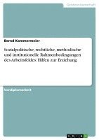 bokomslag Sozialpolitische, Rechtliche, Methodische Und Institutionelle Rahmenbedingungen Des Arbeitsfeldes