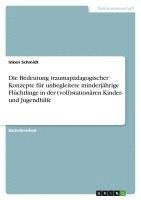 bokomslag Die Bedeutung traumapädagogischer Konzepte für unbegleitete minderjährige Flüchtlinge in der (voll)stationären Kinder- und Jugendhilfe