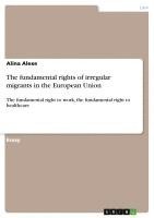 bokomslag The Fundamental Rights of Irregular Migrants in the European Union