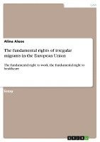 The Fundamental Rights of Irregular Migrants in the European Union 1