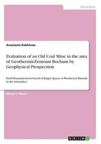 bokomslag Evaluation of an Old Coal Mine in the Area of Geothermiezentrum Bochum by Geophysical Prospection