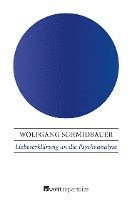 bokomslag Liebeserklärung an die Psychoanalyse